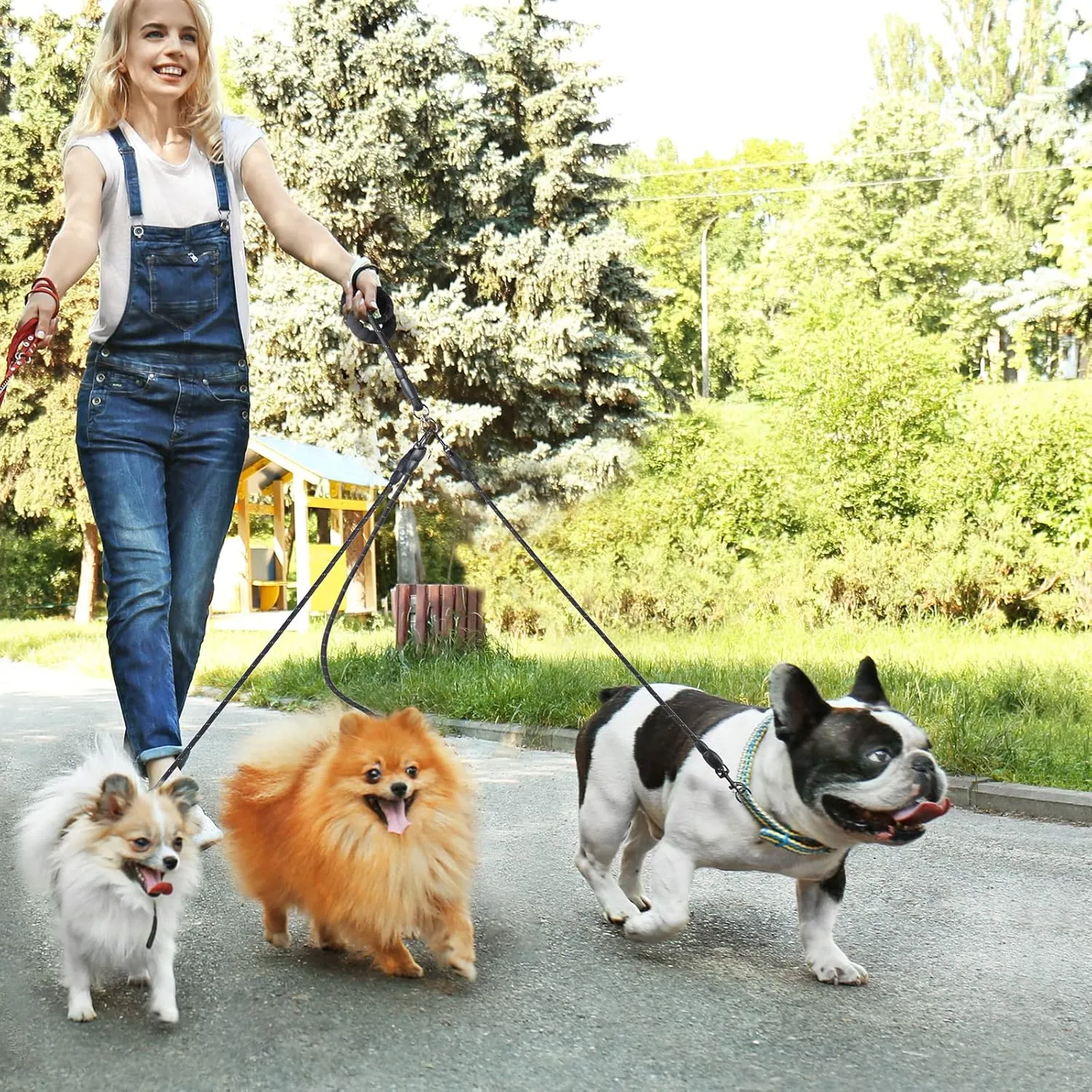 3 Way Dog Leash, 57 Inch Dog Leash Detachable 360 Swivel No Tangle with Soft Padded Handle for Small/Medium Dogs PT050
