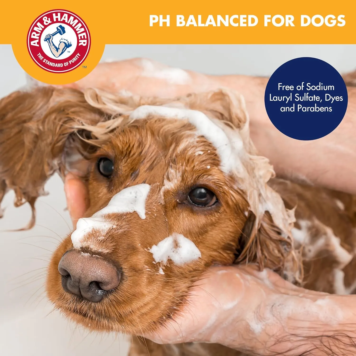 Arm & Hammer for Pets Cologne Pet Fragrance Spray for Dogs with Deodorizing Baking Soda, Vanilla Sandalwood Scented Dog Spray, 6 Ounces