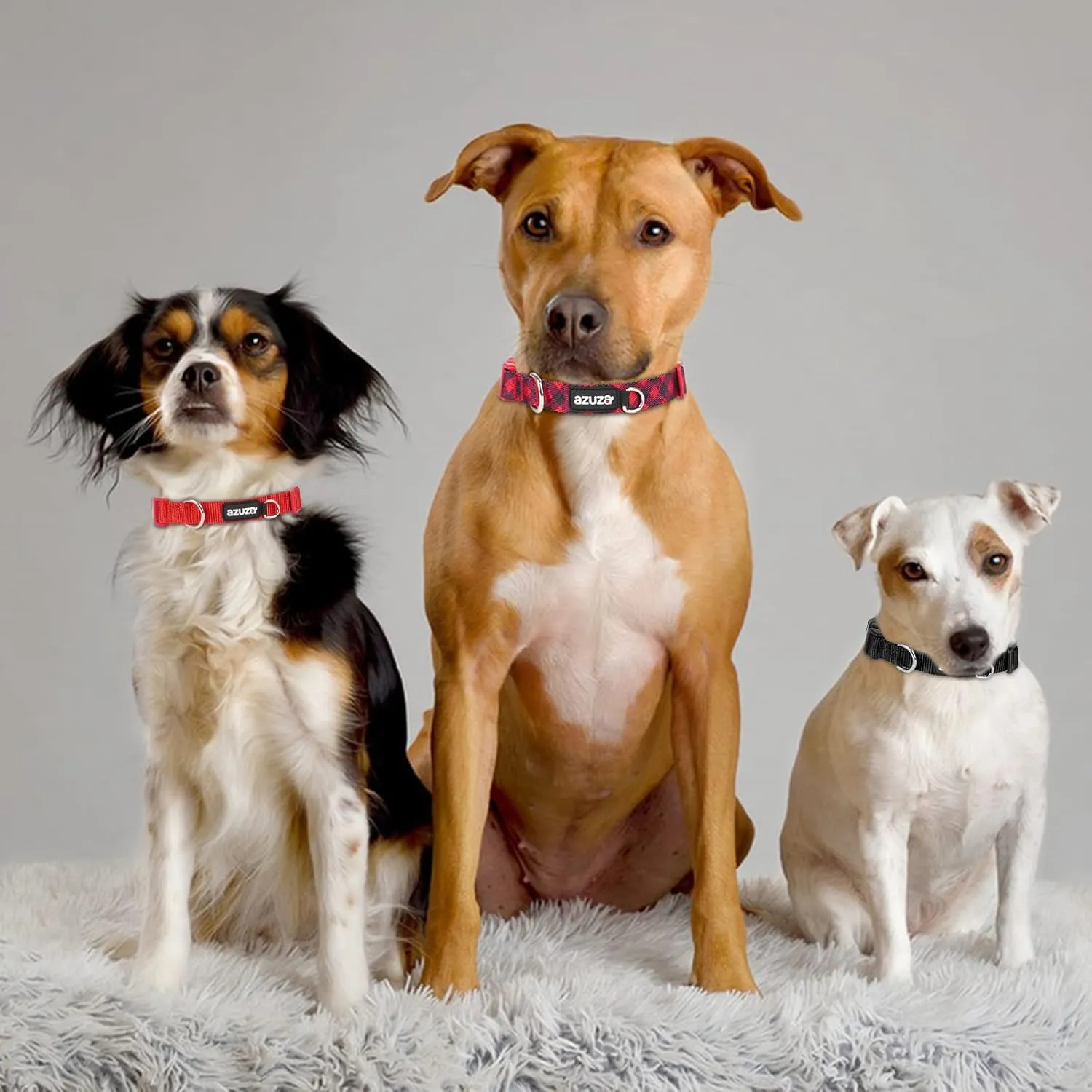 azuza 3 Pack Christmas Nylon Dog Collars Buffalo Check Durable and Comfortable Dog Collars with ID Tag Ring Adjustable for Medium Dogs, M (14-20inch)