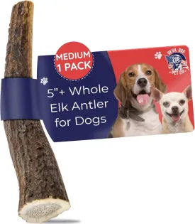 Devil Dog Pet Co. Elk Antlers for Dogs, Medium 5" , 1 Pack, Grade A Long Lasting Chew for Aggressive Chewers, Premium USA Naturally Shed Antler  Healthy, No Odor, Durable Dog Chew