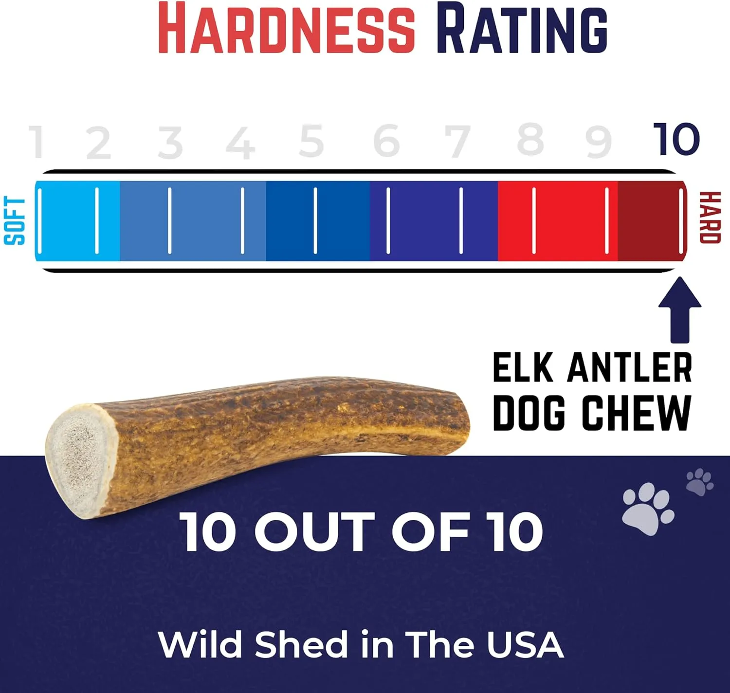 Devil Dog Pet Co. Elk Antlers for Dogs, Medium 5" , 1 Pack, Grade A Long Lasting Chew for Aggressive Chewers, Premium USA Naturally Shed Antler  Healthy, No Odor, Durable Dog Chew