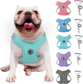 Dog Harness with Leash Set, No-Pull Pet Harness with 1 Leash Clips, Adjustable Soft Padded Pet Vest for Small Medium Dogs No Pull, Puppy Harness and Leash Set (Green, XS)