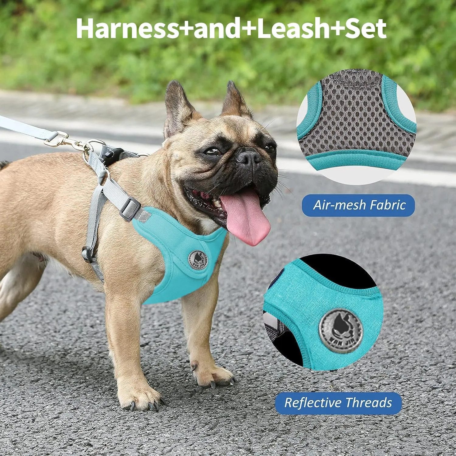 Dog Harness with Leash Set, No-Pull Pet Harness with 1 Leash Clips, Adjustable Soft Padded Pet Vest for Small Medium Dogs No Pull, Puppy Harness and Leash Set (Green, XS)