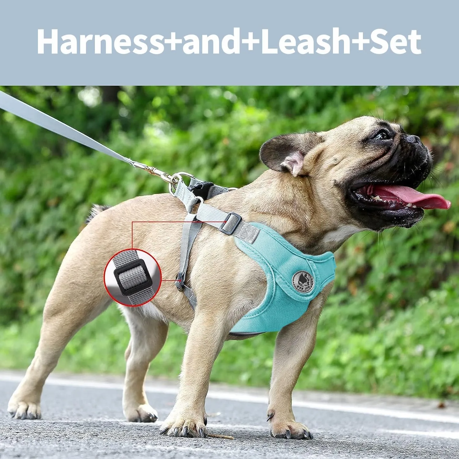 Dog Harness with Leash Set, No-Pull Pet Harness with 1 Leash Clips, Adjustable Soft Padded Pet Vest for Small Medium Dogs No Pull, Puppy Harness and Leash Set (Green, XS)