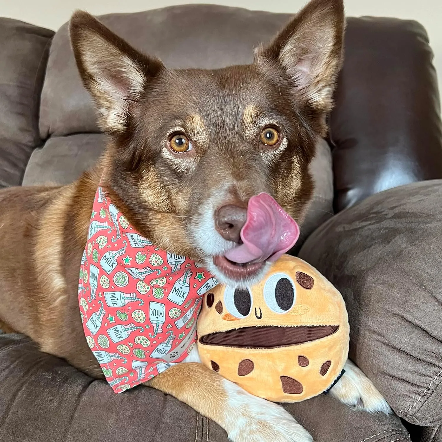 Dog Toys, Puppy Birthday Toy, Dog Puzzle Toys, Interactive Dogs Toys, Puppy Plush Chew, Dogs Treat Dispensing Toys, Pets Halloween Enrichment Toy for Small, Medium and Large Pets