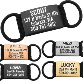 GoTags Silent Personalized Engraved Pet ID Tags for Dogs and Cats, Jingle Free Quiet Custom Stainless Steel Name Tags (Rose Gold, Large)