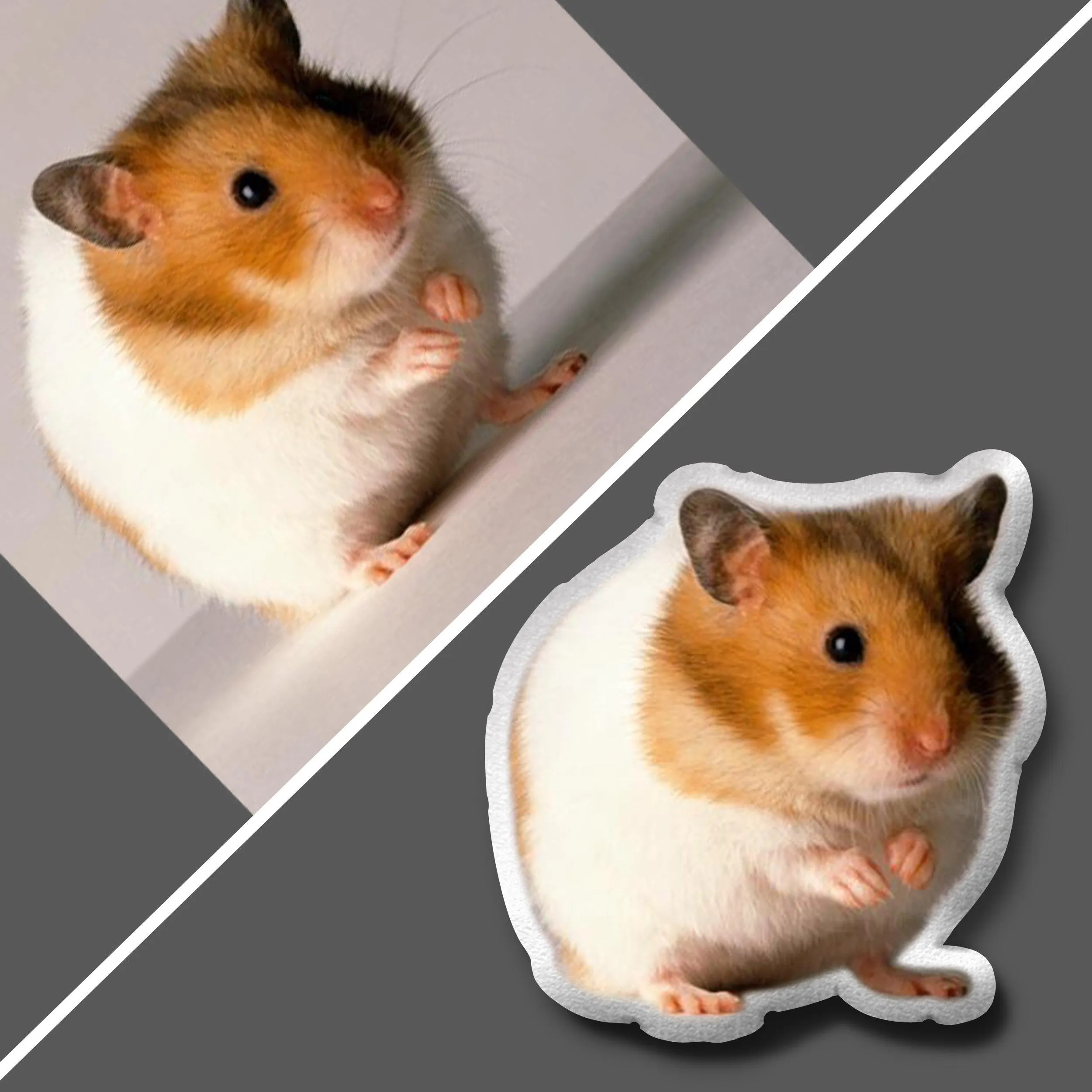 Hamster Themed Gifts | Hamster Christmas Gifts | Gifts For Hamster Owners