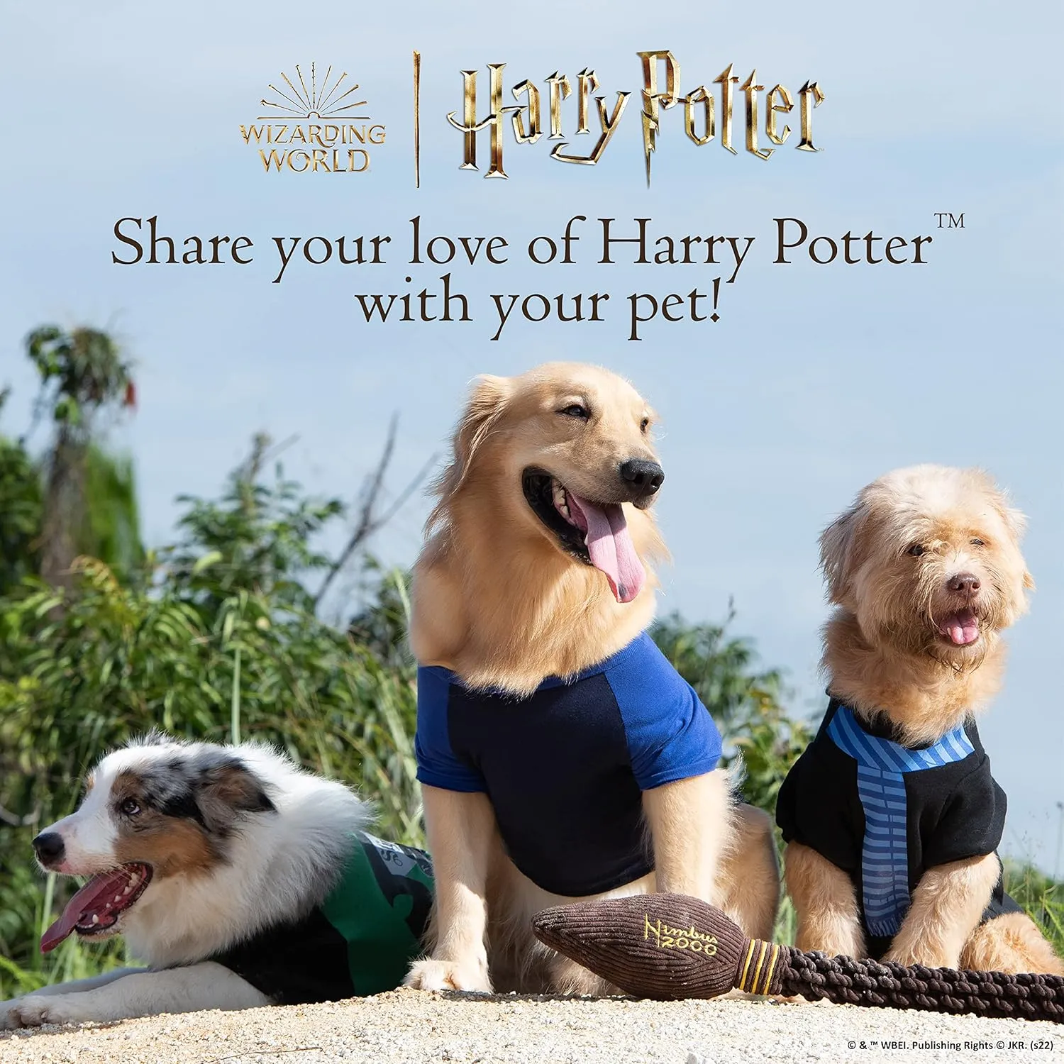 Harry Potter: Gryffindor Pet Sweater - Medium | Harry Potter Costumes for Dogs FF19070 | Harry Potter Dog Apparel & Accessories for Hogwarts Houses, Gryffindor Red