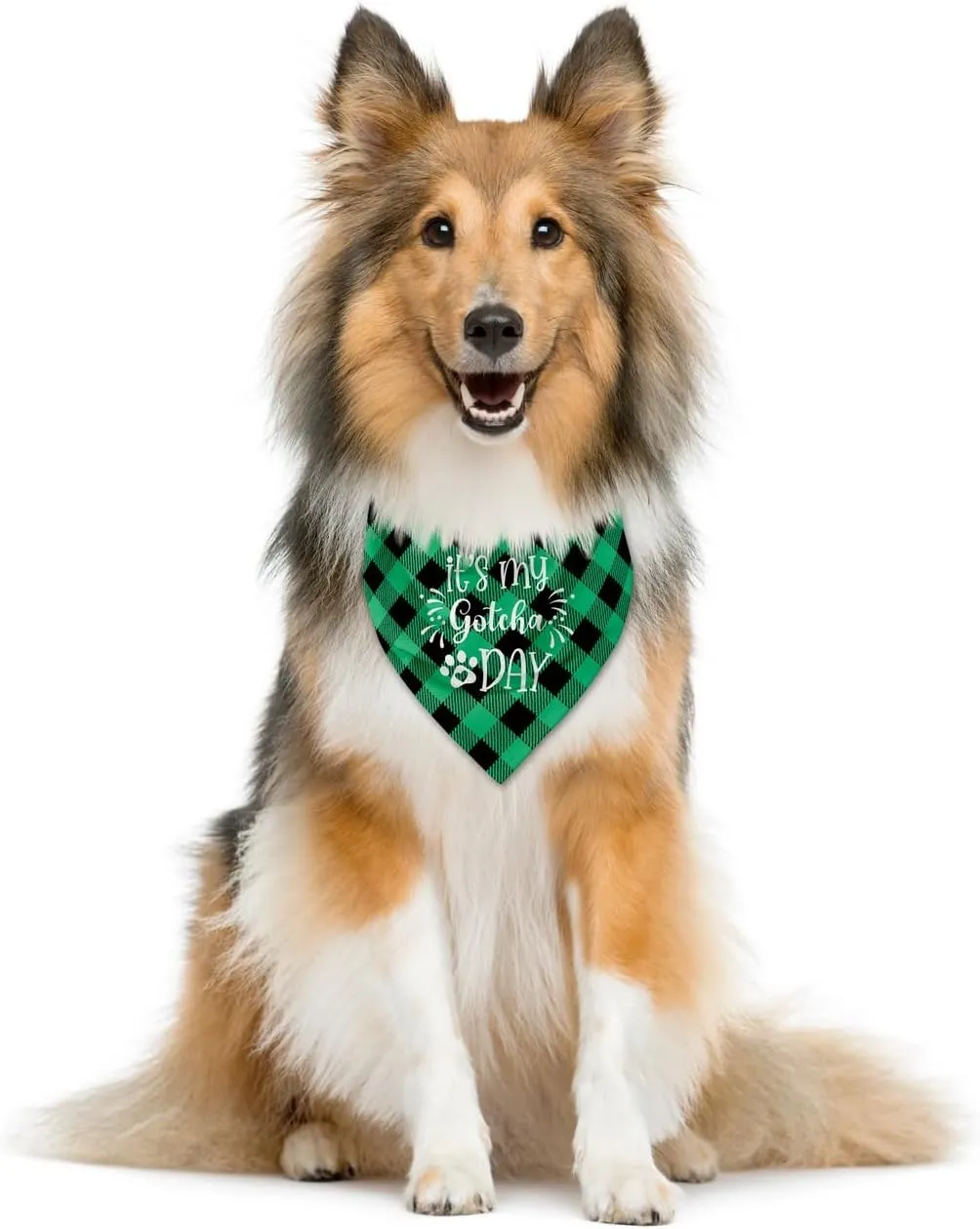 My Gotcha Day Bandanas - Green Buffalo Plaid Triangle Cute Dog Accessory - Fits Small, Medium & Large Dogs