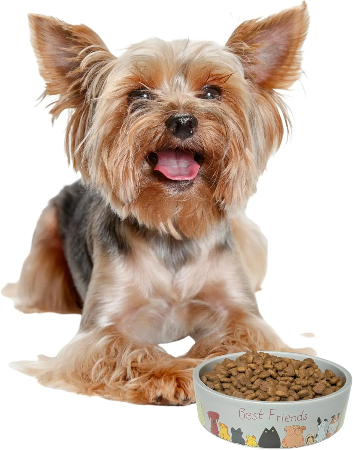 SPOT Best Friends Pet Food Dish - Food or Water Ceramic Bowl for Pets, Ideal for Small Dogs, Dishwasher Safe, 1.75 Cups (14oz) Capacity - 5in, Light Grey