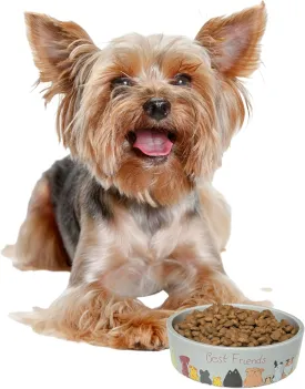 SPOT Best Friends Pet Food Dish - Food or Water Ceramic Bowl for Pets, Ideal for Small Dogs, Dishwasher Safe, 1.75 Cups (14oz) Capacity - 5in, Light Grey